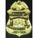 FBI FEDERAL BUREAU OF INVESTIGATION PIN MINI BADGE PIN